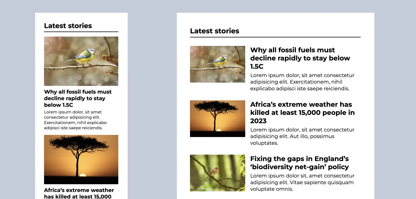 Mobile and tablet versions of the news feed layout